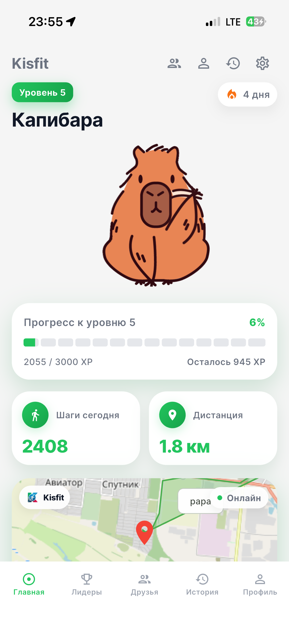 Интерфейс приложения КИСФИТ